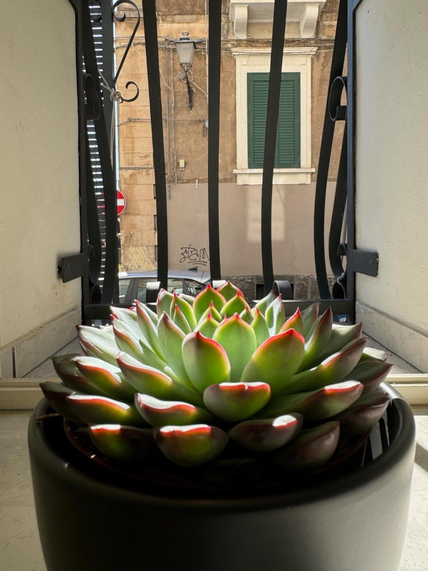 Hébergement de vacances Casa Terme Della Rotonda Catane